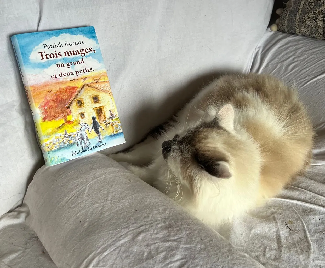 Contribution de Ecler