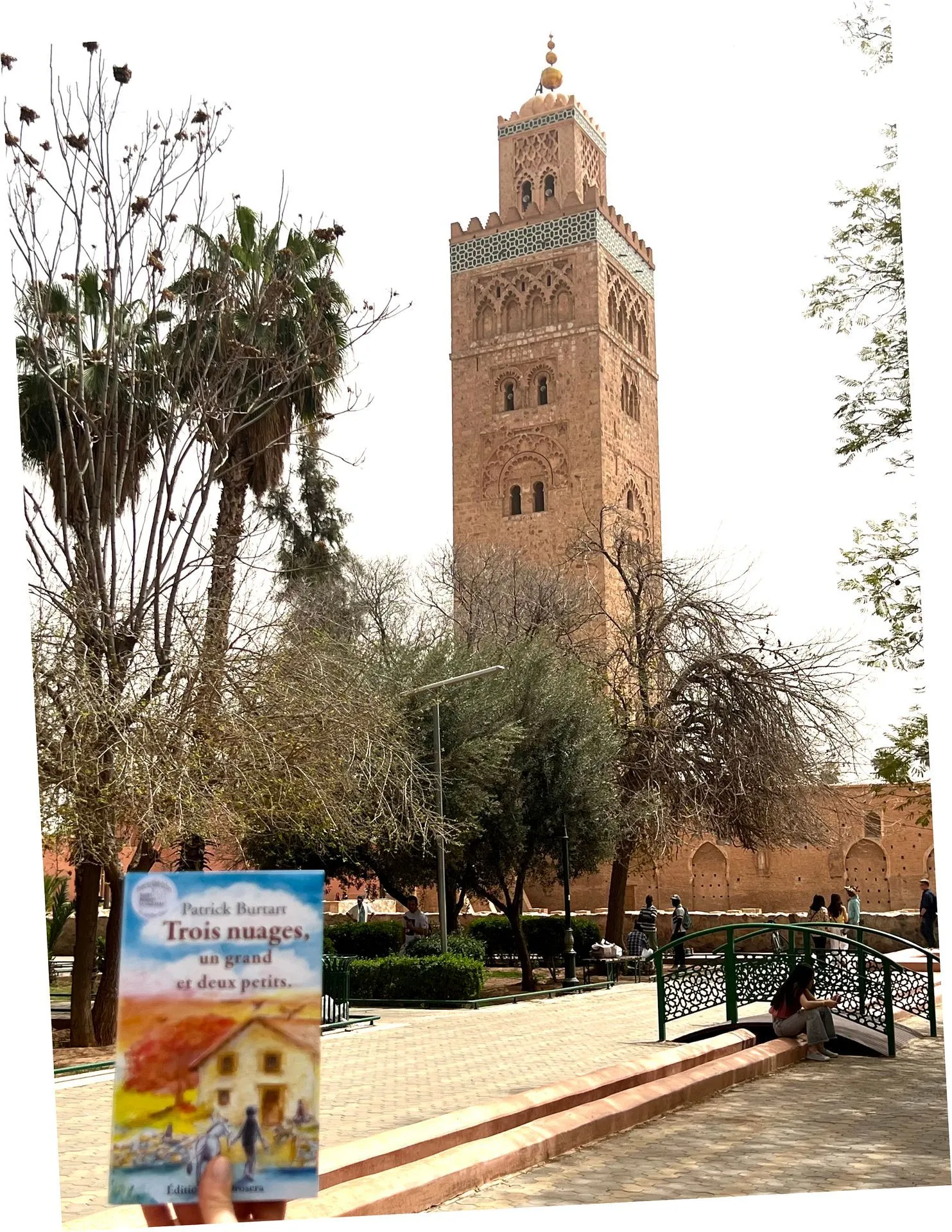 Contribution de Marrakech Mohamed