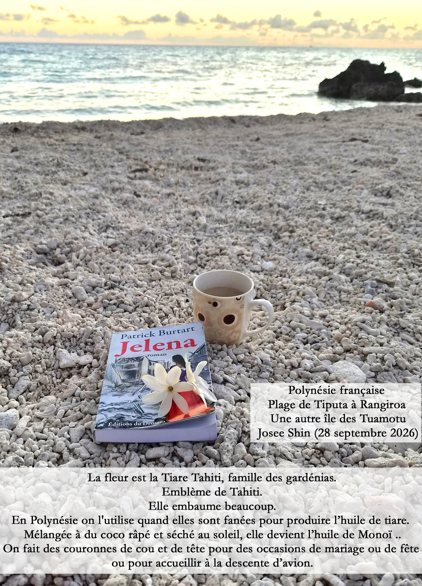 Contribution de Polynésie française plage de Tiputa à Rangiroa Archipel des Tuamotu Josee Shin 28 septembre 2026