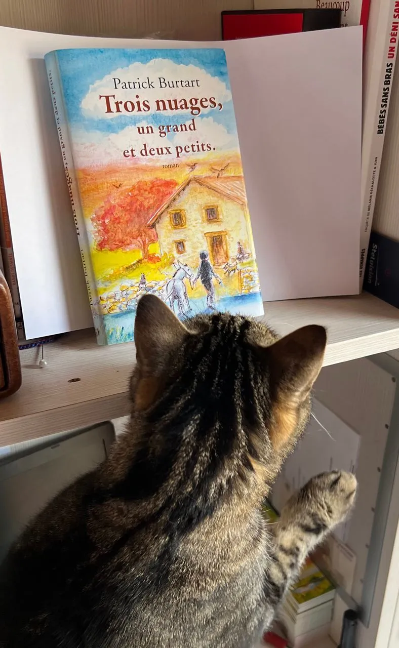 Contribution de Vassili